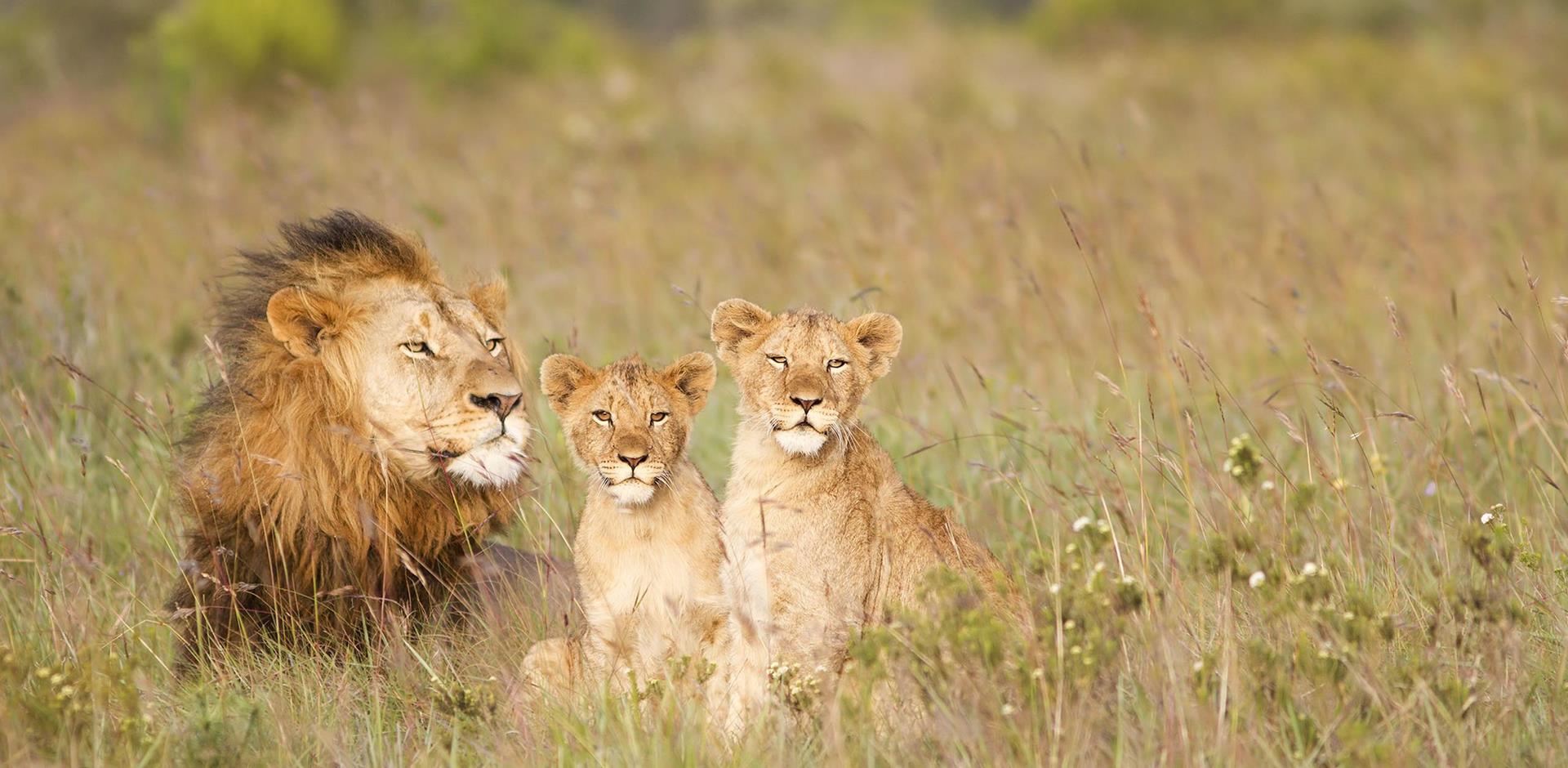 Ruaha National Park